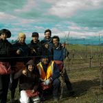 nueva zelanda trabajando vinedos