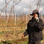 nueva zelanda trabajando vinedos