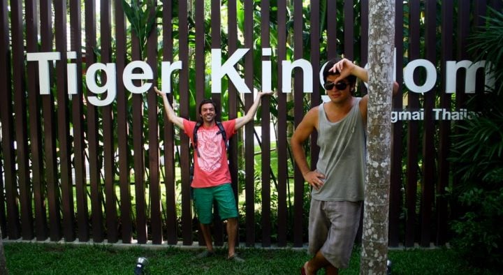 tiger kingdom tailandia tiger kingdom tailandia