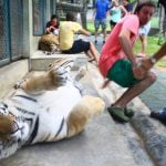 tour tailandia