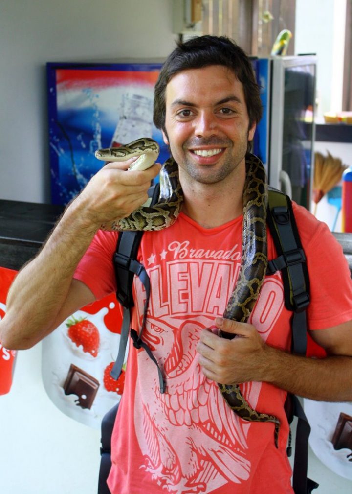 vibora tailandia vibora tailandia