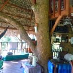 gibbon experience laos