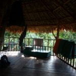 gibbon experience laos