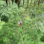 gibbon experience laos