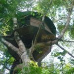 gibbon experience laos