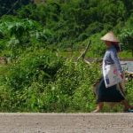 gibbon experience laos