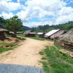 gibbon experience laos