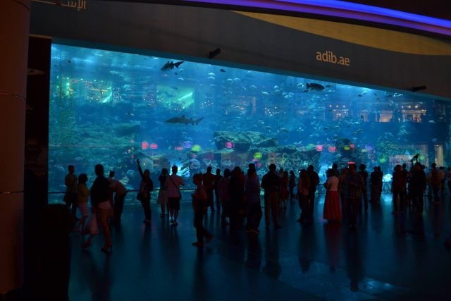 haciendo escala en dubai antes de nueva zelanda o australia