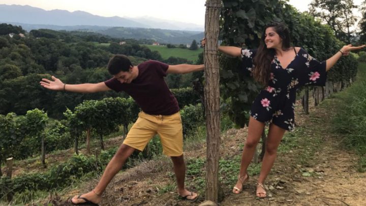 experiencia vendimia francia