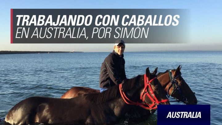 trabajando con caballos en Australia