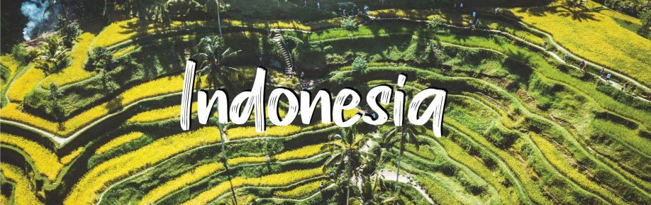 indonesia