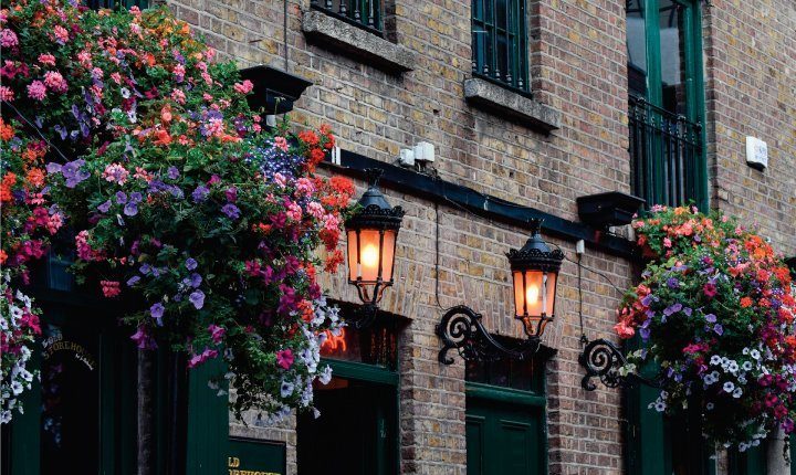 vivir dublin