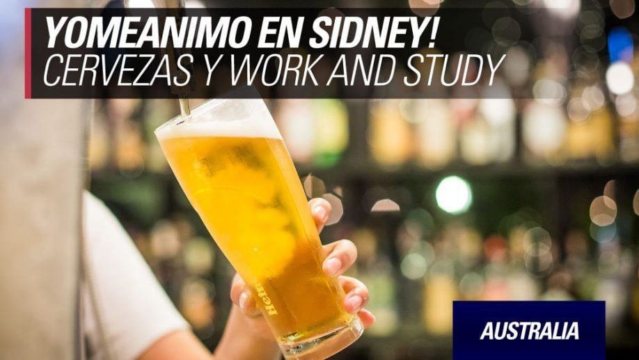 yomeanimo juntada sidney