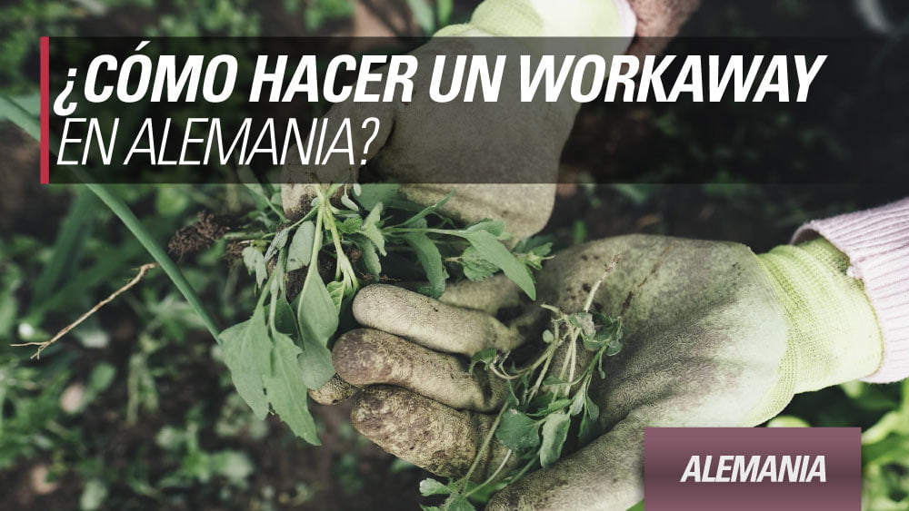 workaway working holiday alemania